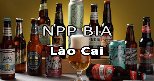 Tìm nhà phân phối bia nội ngoại nhập uy tín ở Lào Cai