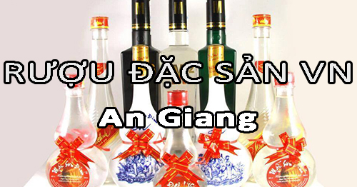 Tìm nhà phân phối rượu đặc sản Việt Nam uy tín ở An Giang