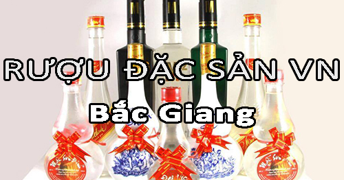 Tìm nhà phân phối rượu đặc sản Việt Nam uy tín ở Bắc Giang