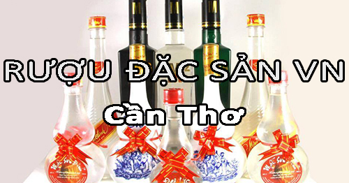 Tìm nhà phân phối rượu đặc sản Việt Nam uy tín ở Cần Thơ