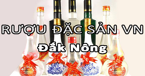 Tìm nhà phân phối rượu đặc sản Việt Nam uy tín ở Đắk Nông