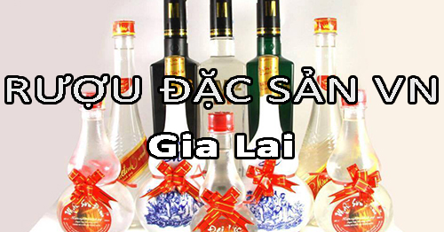 Tìm nhà phân phối rượu đặc sản Việt Nam uy tín ở Gia Lai