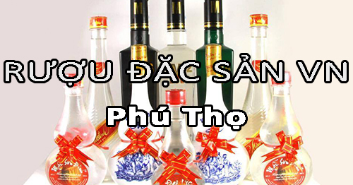 Tìm nhà phân phối rượu đặc sản Việt Nam uy tín ở Phú Thọ