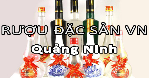 Tìm nhà phân phối rượu đặc sản Việt Nam uy tín ở Quảng Ninh