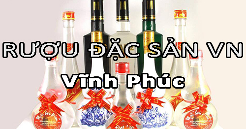 Tìm nhà phân phối rượu đặc sản Việt Nam uy tín ở Vĩnh Phúc