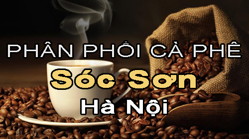 Tìm NPP cà phê uy tín ở Sóc Sơn - Hà Nội